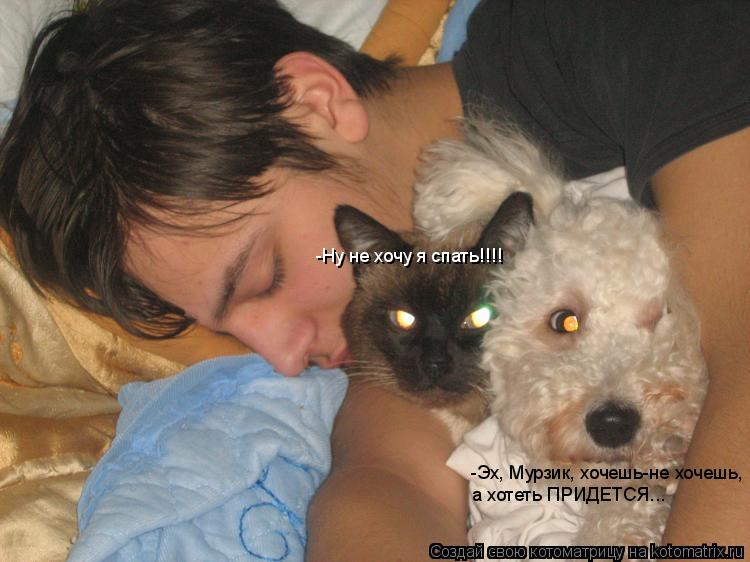 Котоматрица: -Ну не хочу я спать!!!! -Эх, Мурзик, хочешь-не хочешь,  а хотеть ПРИДЕТСЯ...