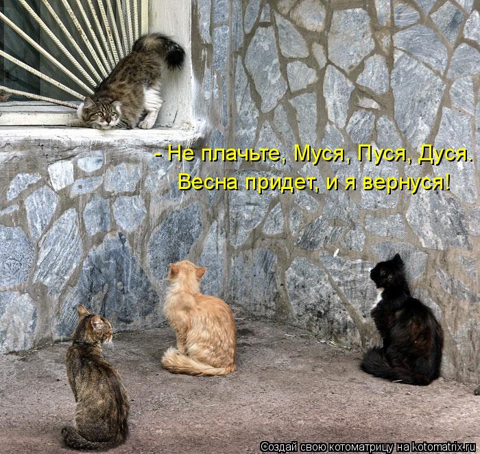 - Не плачьте, Муся, Пуся, Дуся. Весна придет, и я вернуся!... Котоматрица: - Не плачьте, Муся, Пуся, Дуся. Весна придет, и я вернуся!