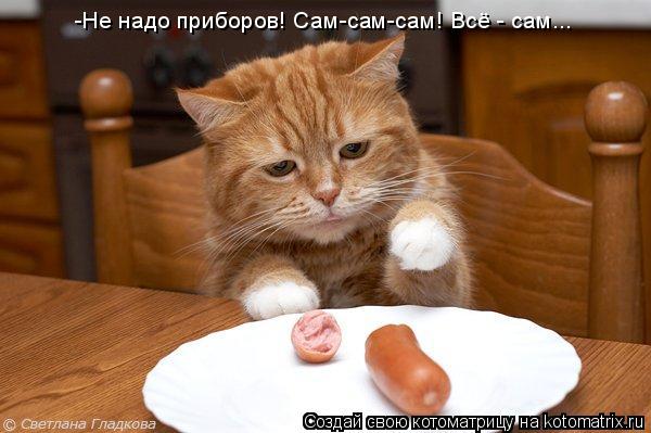 Котоматрица: -Не надо приборов! Сам-сам-сам! Всё - сам...