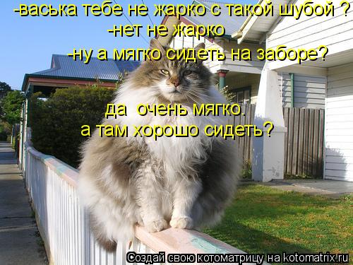 Котоматрица: -васька тебе не жарко с такой шубой ? -нет не жарко  -ну а мягко сидеть на заборе? да  очень мягко. а там хорошо сидеть?