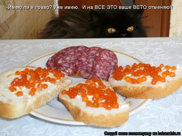 Котоматрица: -Имею ли я право? Уже имею.  И на ВСЕ ЭТО ваше ВЕТО отменяю!!