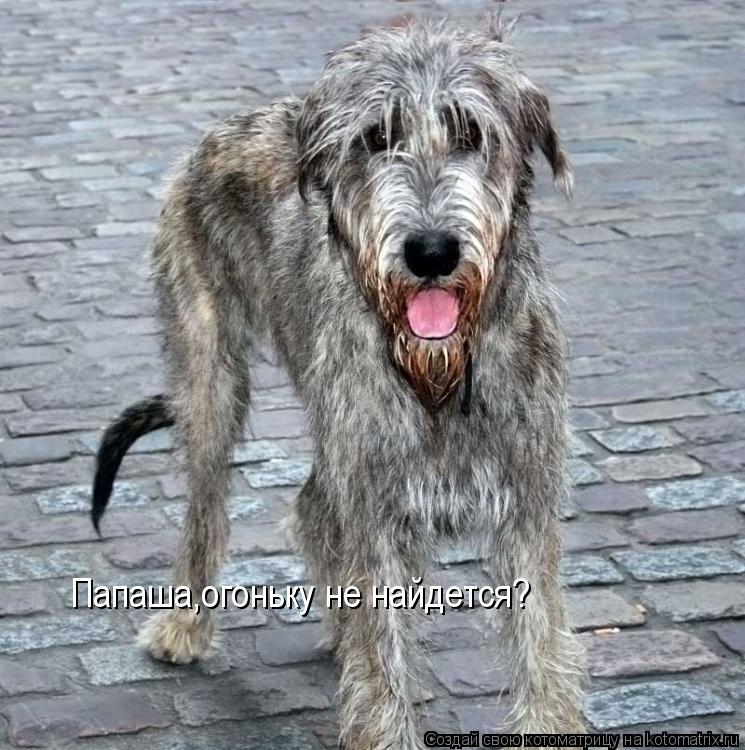 Котоматрица: Папаша,огоньку не найдется?