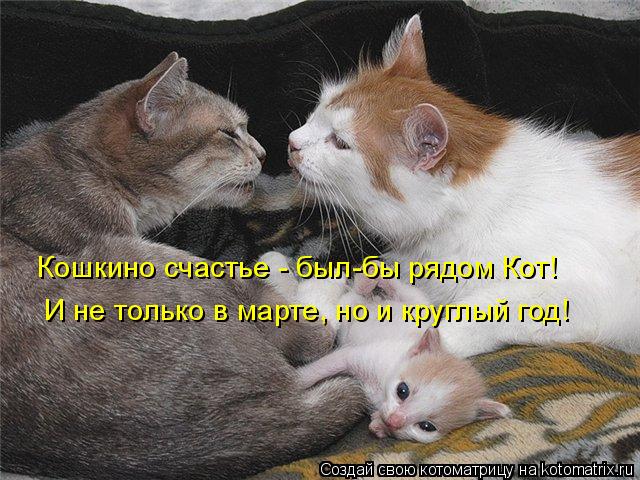 Котоматрица: Кошкино счастье - был-бы рядом Кот!  И не только в марте, но и круглый год!