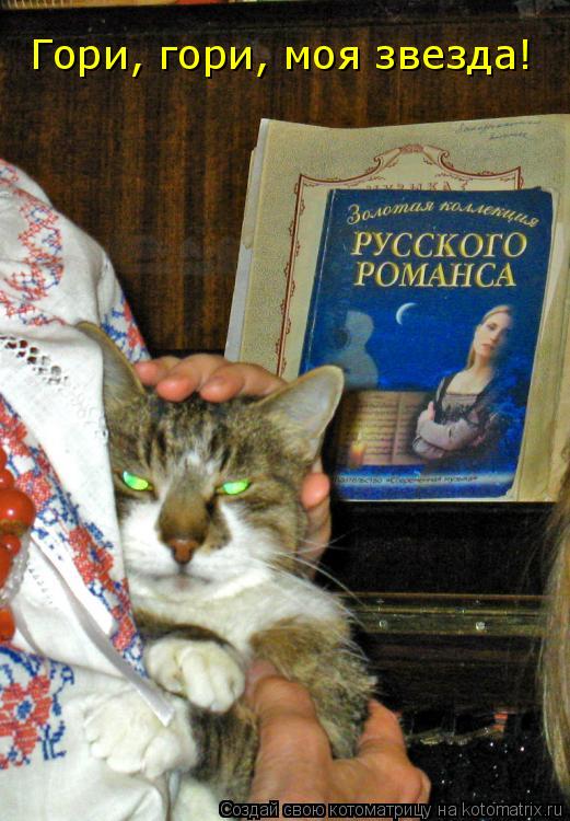 Котоматрица: Гори, гори, моя звезда!