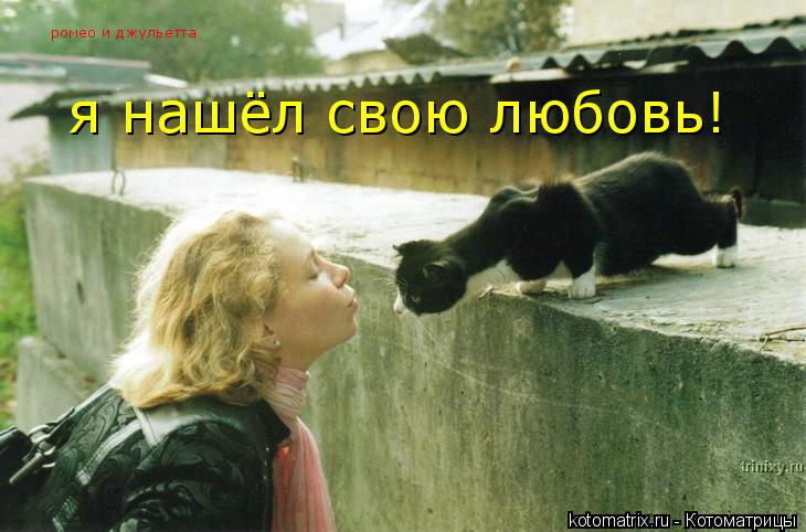 Котоматрица: ромео и джульетта я нашёл свою любовь!