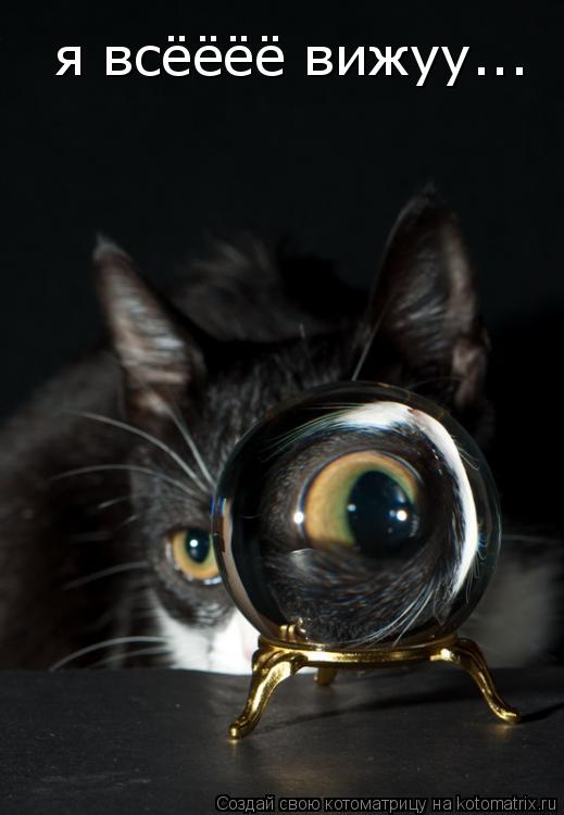 Котоматрица: я всёёёё вижуу...