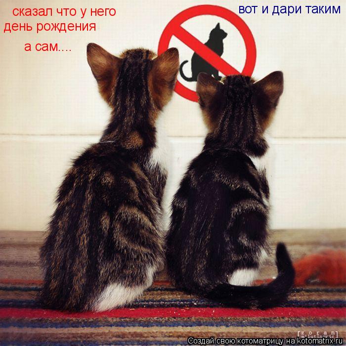 Котоматрица: сказал что у него день рождения а сам... сказал что у него день рождения а сам.... вот и дари таким