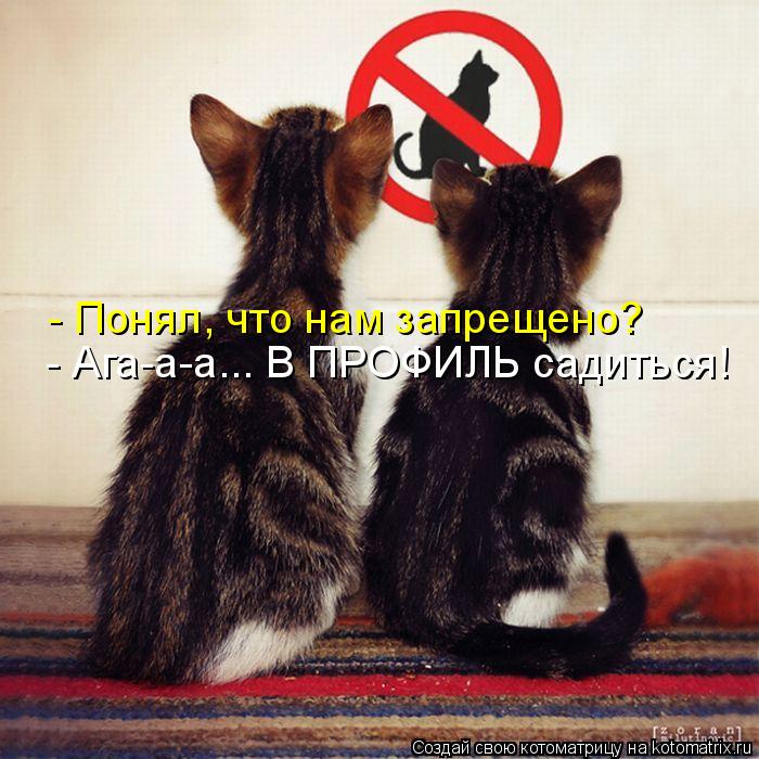 - Понял, что нам запрещено? - Ага-а-а... В ПРОФИЛЬ садиться!... Котоматрица: - Понял, что нам запрещено? - Ага-а-а... В ПРОФИЛЬ садиться!