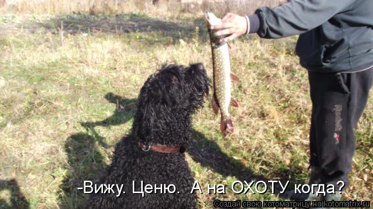 Котоматрица: -Вижу. Ценю.  А на ОХОТУ когда?