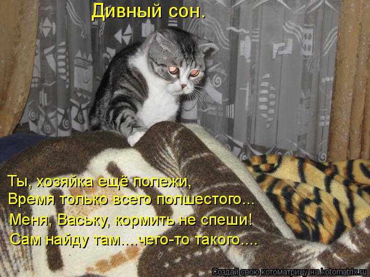 Дивный сон. Время только всего полшестого... Ты, хозяйка ещё полежи, Меня, Ваську, кормить не спеши! ... Котоматрица: Дивный сон. Время только всего полшестого... Ты, хозяйка ещё полежи, Меня, Ваську, кормить не спеши! Сам найду там....чего-то такого....