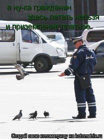 Котоматрица: а ну-ка гражданин  здесь летать нельзя и приземление платное