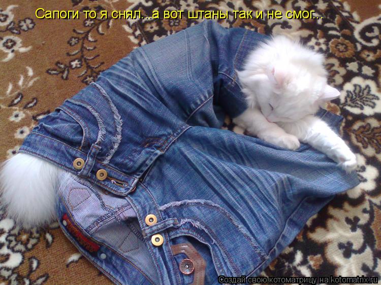 Котоматрица: Сапоги то я снял...а вот штаны так и не смог...