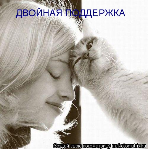 Котоматрица: ДВОЙНАЯ ПОДДЕРЖКА