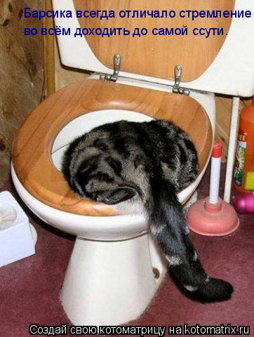 Котоматрица: Барсика всегда отличало стремление во всём доходить до самой ссути.