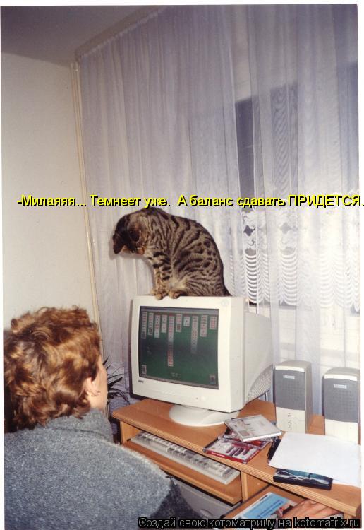 Котоматрица: -Милаяяя... Темнеет уже.  А баланс сдавать ПРИДЕТСЯ.