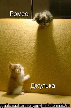 Котоматрица: Ромео Джулька