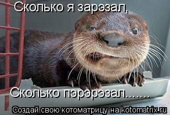 Котоматрица: Сколько я зарэзал, Сколько пэрэрэзал.......