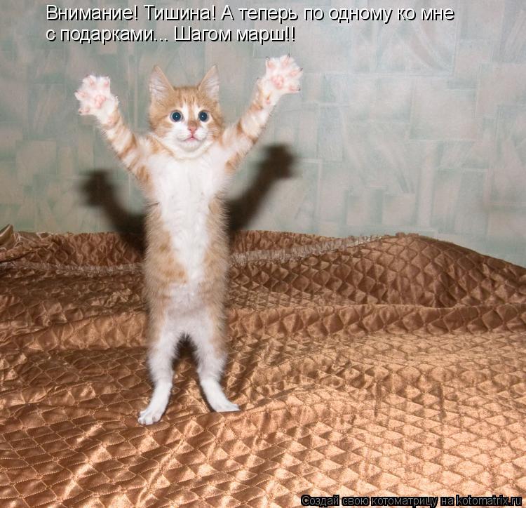 Котоматрица: Внимание! Тишина! А теперь по одному ко мне  с подарками... Шагом марш!!