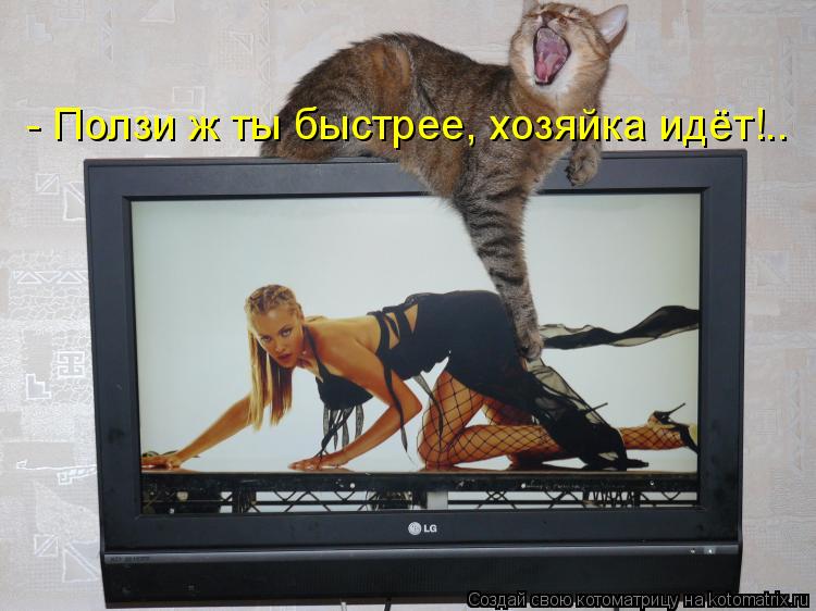 - Ползи ж ты быстрее, хозяйка идёт!..... Котоматрица: - Ползи ж ты быстрее, хозяйка идёт!..