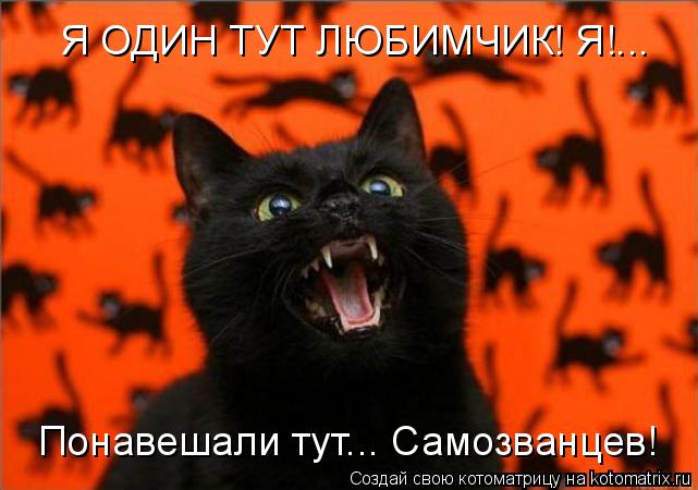 Я ОДИН ТУТ ЛЮБИМЧИК! Я!... Понавешали тут... Самозванцев!... Котоматрица: Я ОДИН ТУТ ЛЮБИМЧИК! Я!... Понавешали тут... Самозванцев!