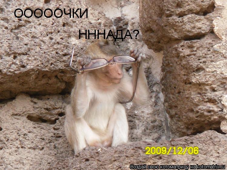 ОООООЧКИ ОООООЧКИ НННАДА?... Котоматрица: ОООООЧКИ ОООООЧКИ НННАДА?