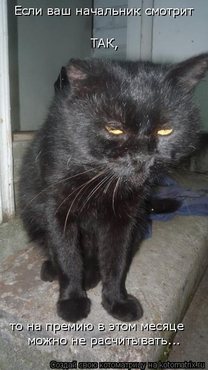 Если ваш начальник смотрит ТАК, то на премию в этом месяце можно не расчитывать...... Котоматрица: Если ваш начальник смотрит ТАК, то на премию в этом месяце можно не расчитывать...