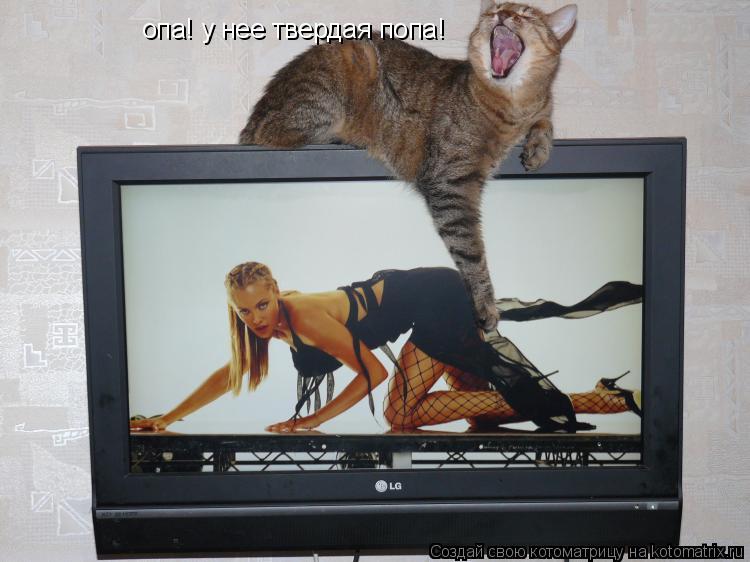 опа! у нее твердая попа!... Котоматрица: опа! у нее твердая попа!
