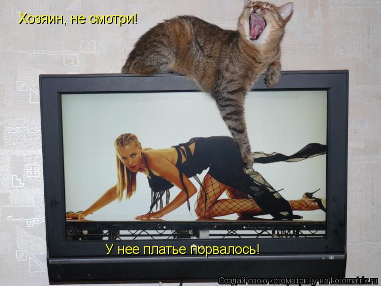 Хозяин, не смотри! У нее платье порвалось!... Котоматрица: Хозяин, не смотри! У нее платье порвалось!