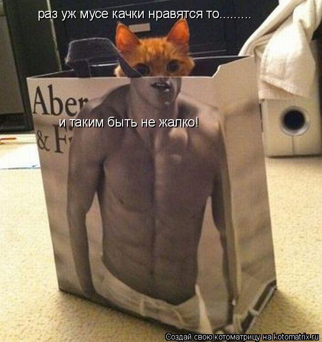 раз уж мусе качки нравятся то......... и таким быть не жалко!... Котоматрица: раз уж мусе качки нравятся то......... и таким быть не жалко!