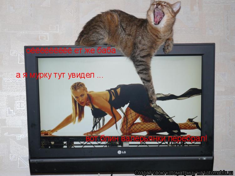 Котоматрица: оёёёёёёёёё ет же баба а я мурку тут увидел ... вот блин валерьянки перебрал!