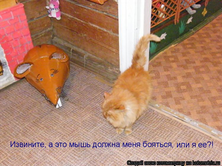 Котоматрица: Извините, а это мышь должна меня бояться, или я ее?!