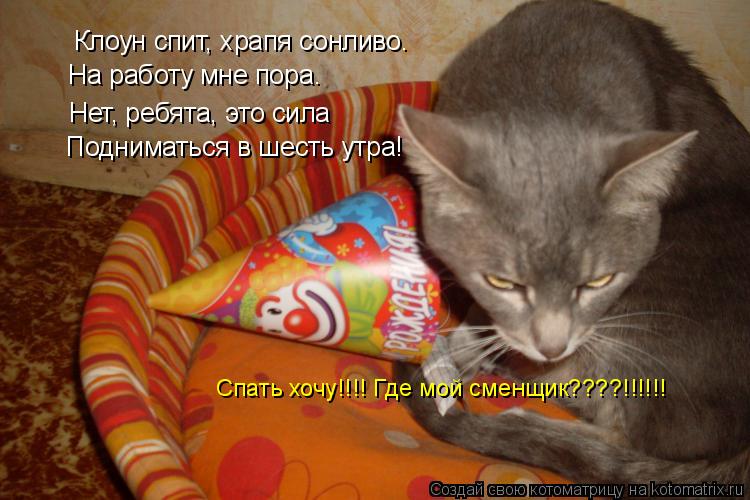 Котоматрица: Клоун спит, храпя сонливо. На работу мне пора. Нет, ребята, это сила Подниматься в шесть утра! Спать хочу!!!! Где мой сменщик????!!!!!!
