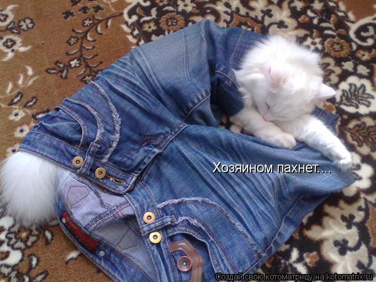 Котоматрица: Хозяином пахнет....