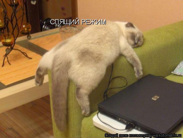 Котоматрица: СПЯЩИЙ РЕЖИМ