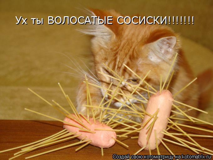 Котоматрица: Ух ты ВОЛОСАТЫЕ СОСИСКИ!!!!!!!
