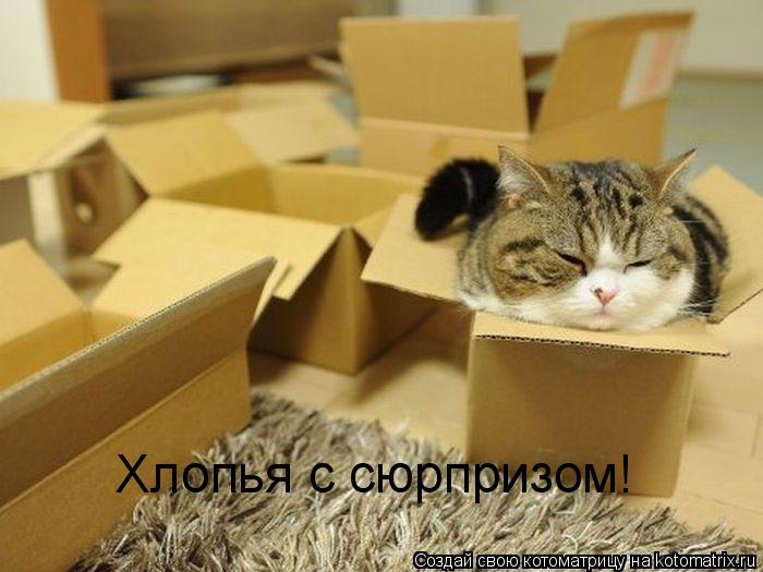 Котоматрица: Хлопья с сюрпризом!