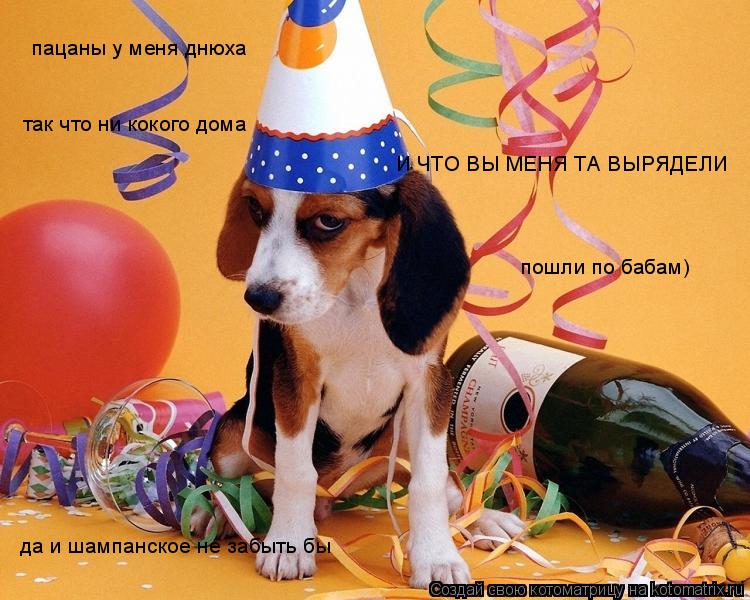 Котоматрица: пацаны у меня днюха  так что ни кокого дома  И ЧТО ВЫ МЕНЯ ТА ВЫРЯДЕЛИ  пошли по бабам) да и шампанское не забыть бы