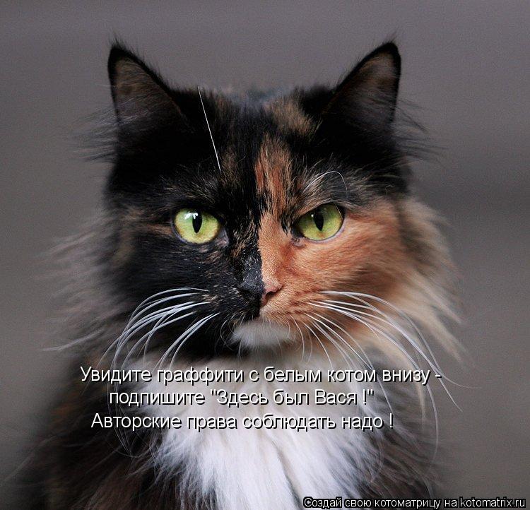 Котоматрица: Увидите граффити с белым котом внизу - подпишите "Здесь был Вася !" Авторские права соблюдать надо !