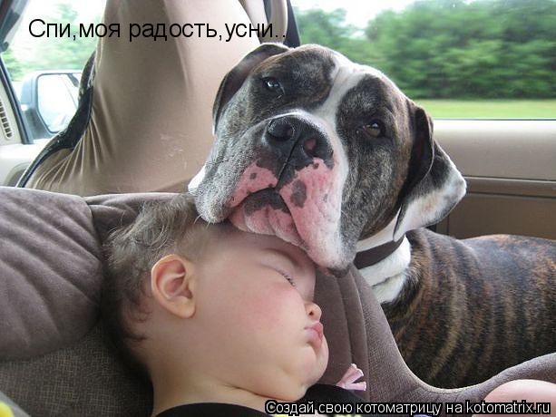 Котоматрица: Спи,моя радость,усни..