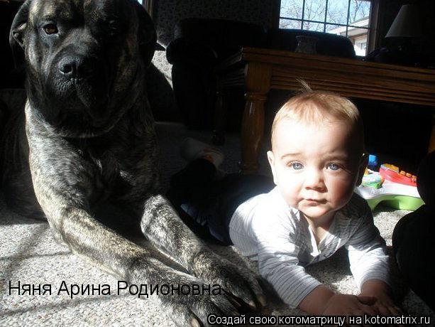 Котоматрица: Няня Арина Родионовна.