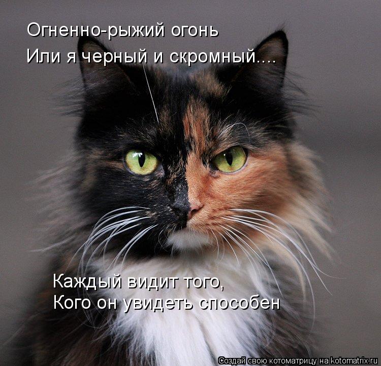 Огненно-рыжий огонь Каждый видит того, Кого он увидеть способен Или я черный и скромный....... Котоматрица: Огненно-рыжий огонь Каждый видит того, Кого он увидеть способен Или я черный и скромный....