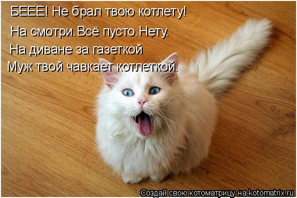 БЕЕЕ! Не брал твою котлету! На смотри.Всё пусто.Нету. На диване за газеткой Муж твой чавкает котлетко... Котоматрица: БЕЕЕ! Не брал твою котлету! На смотри.Всё пусто.Нету. На диване за газеткой Муж твой чавкает котлеткой.