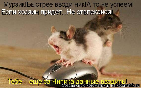 Мурзик!Быстрее вводи ник!А то не успеем! Если хозяин придёт...Не отвлекайся! Тебе ... Котоматрица: Мурзик!Быстрее вводи ник!А то не успеем! Если хозяин придёт...Не отвлекайся! Тебе ещё за Чипика данные вводить!