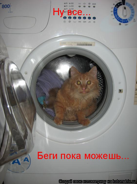 Ну все... Беги пока можешь...... Котоматрица: Ну все... Беги пока можешь...