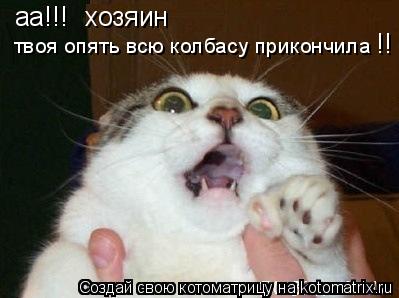 хозяин твоя опять всю колбасу прикончила аа!!! !!... Котоматрица: хозяин твоя опять всю колбасу прикончила аа!!! !!