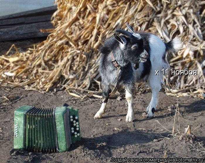 х 11 ноября... Котоматрица: х 11 ноября