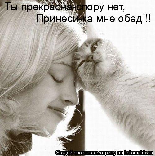 Котоматрица: Ты прекрасна-спору нет, Принеси-ка мне обед!!!
