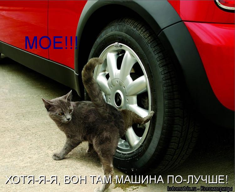 Котоматрица: МОЕ!!! ХОТЯ-Я-Я, ВОН ТАМ МАШИНА ПО-ЛУЧШЕ!