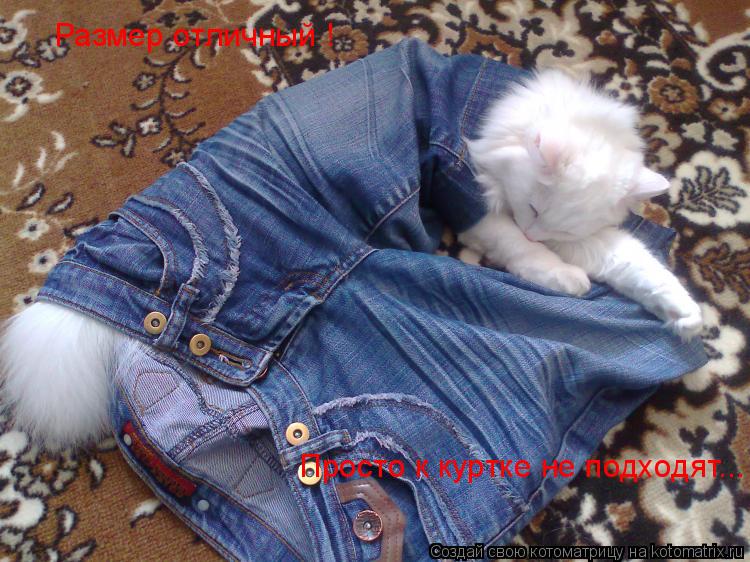 Котоматрица: Размер отличный ! Просто к куртке не подходят...