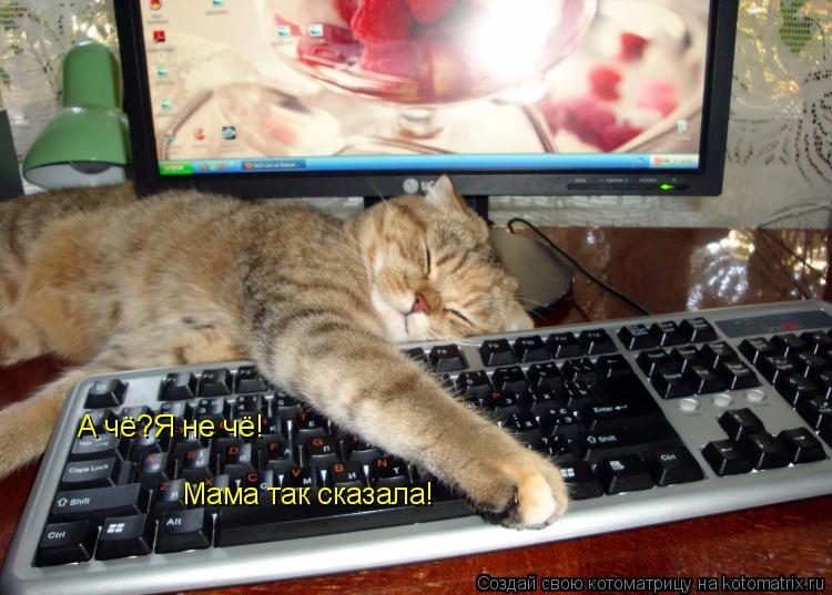 Котоматрица: А чё?Я не чё! Мама так сказала!